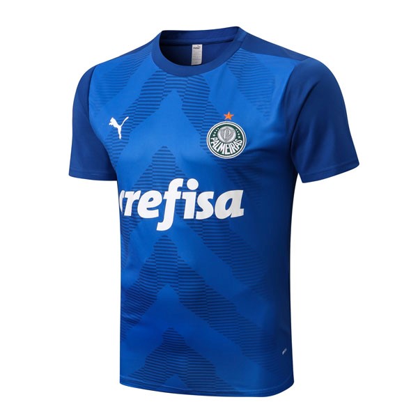 Entrenamiento Palmeiras 2022 2023 Azul